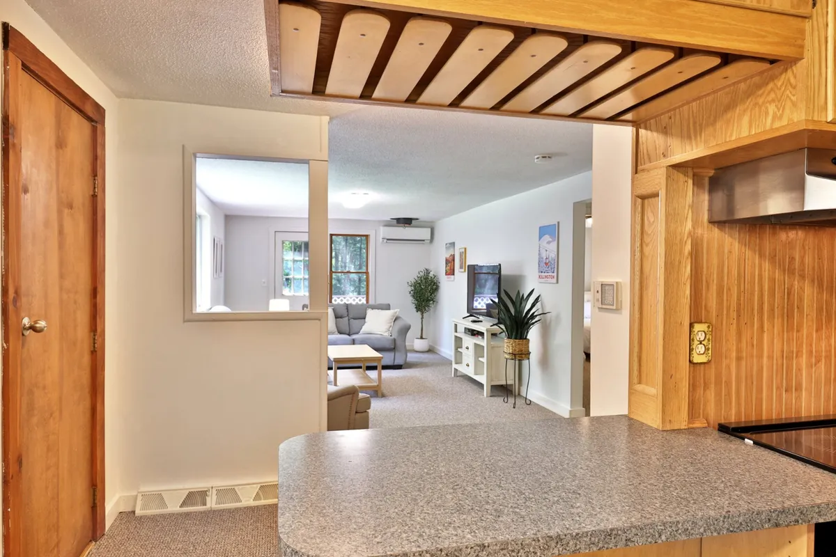 The photo showcases a seamless transition between the kitchen counter and living room seating area, with a television in view and indoor plants adding a natural touch. The layout is open and inviting, encouraging easy conversation between cooks and guests or family members. The combination of cooking and relaxation zones embodies the open-concept design.